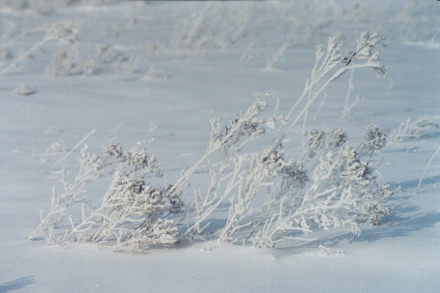 Zima 2002